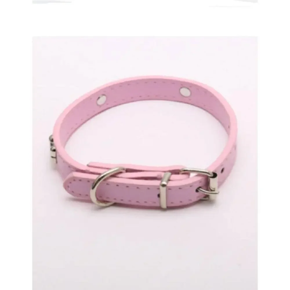 Dog Bone Dog Collar